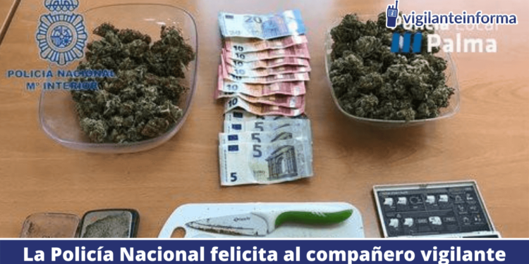 Un vigilante detiene a un hombre con mariguana, quif, un cuchillo y 700 euros cerca del Palma …