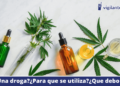 CBD, la nueva moda