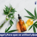 CBD, la nueva moda