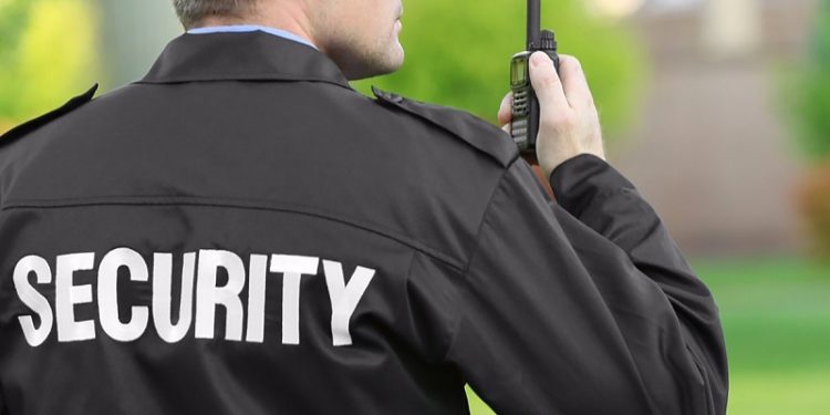 test vigilante de seguridad 2