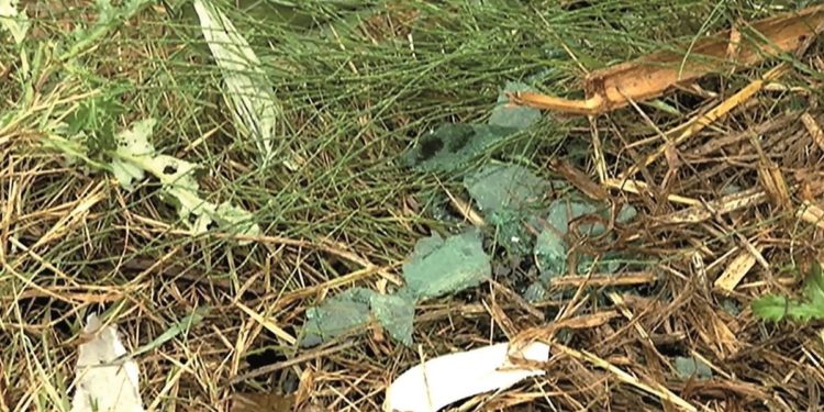 El crimen de Pleitas en el que un vigilante de cáñamo fue asesinado